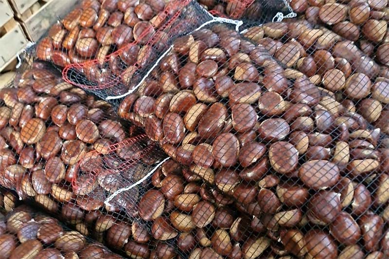 Castagne - Italia - 3,50/3,80 euro al chilo